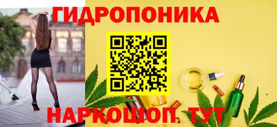 СК Новокубанск