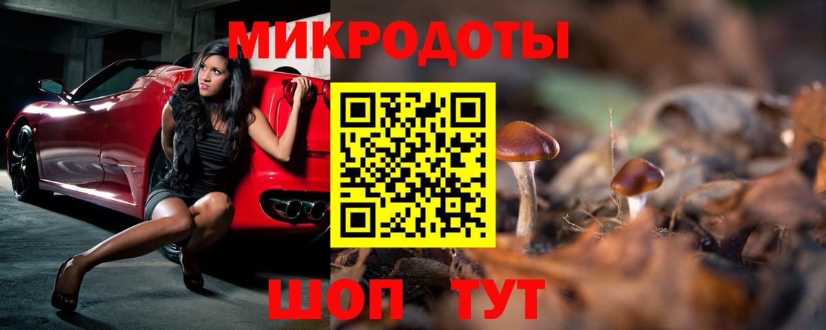 Псилоцибиновые грибы прущие грибы Трёхгорный